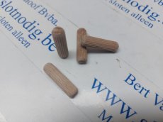 302231020 Drevel in beukenhout 30x8 mm